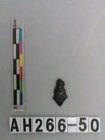 藏品(打製石鏃)的圖片